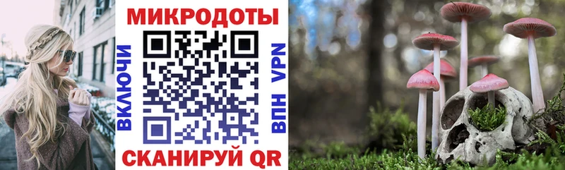 Галлюциногенные грибы Cubensis  Сельцо 